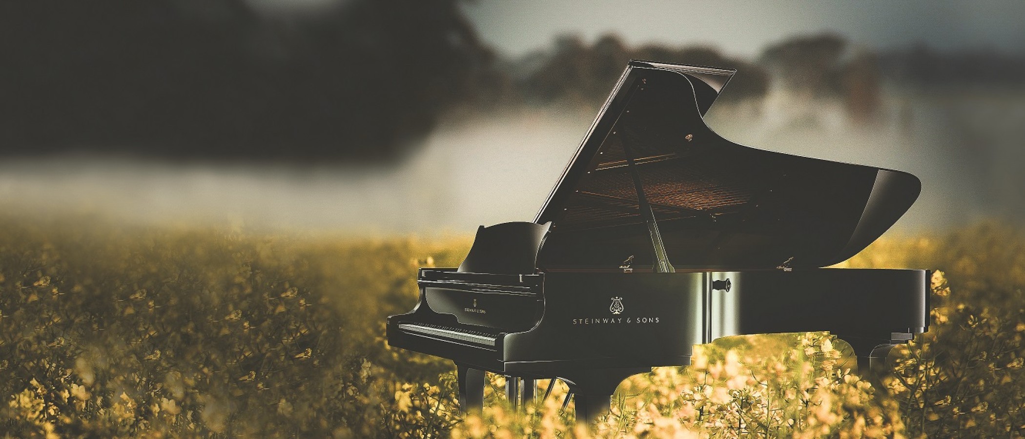 Australian National Piano Award 2022 - Hero Image Landscape