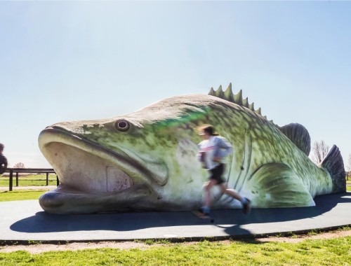 Tot Hot or Not Giant Murray Cod Photo by Joyce Watts