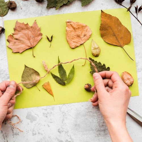 Nature Collaging