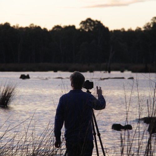 Nature Photography