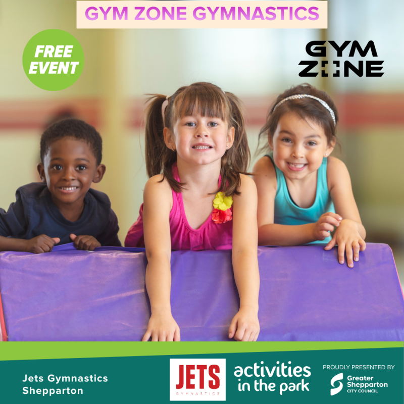 Gym Zone Gymnastics