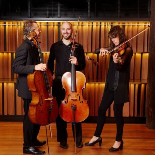 Riverlinks & the Australian Chamber Orchestra present ACO Collective - Bach, Brahms & P&auml;rt