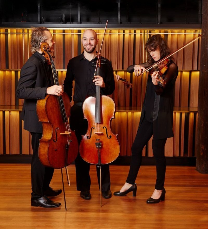 Riverlinks & the Australian Chamber Orchestra present ACO Collective - Bach, Brahms & Pärt