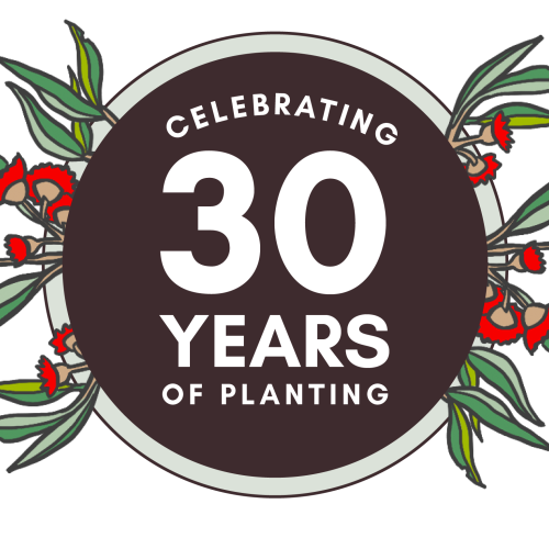 National Tree Day 2026