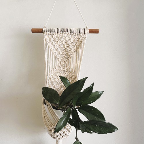 Macrame Wall Plant Hanger Workshop