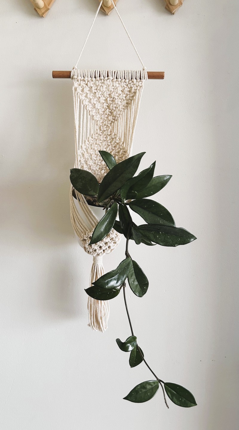 Macrame Wall Plant Hanger Workshop