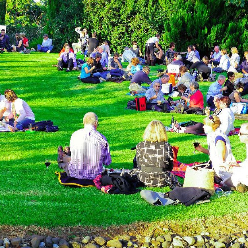 Shepparton Festival