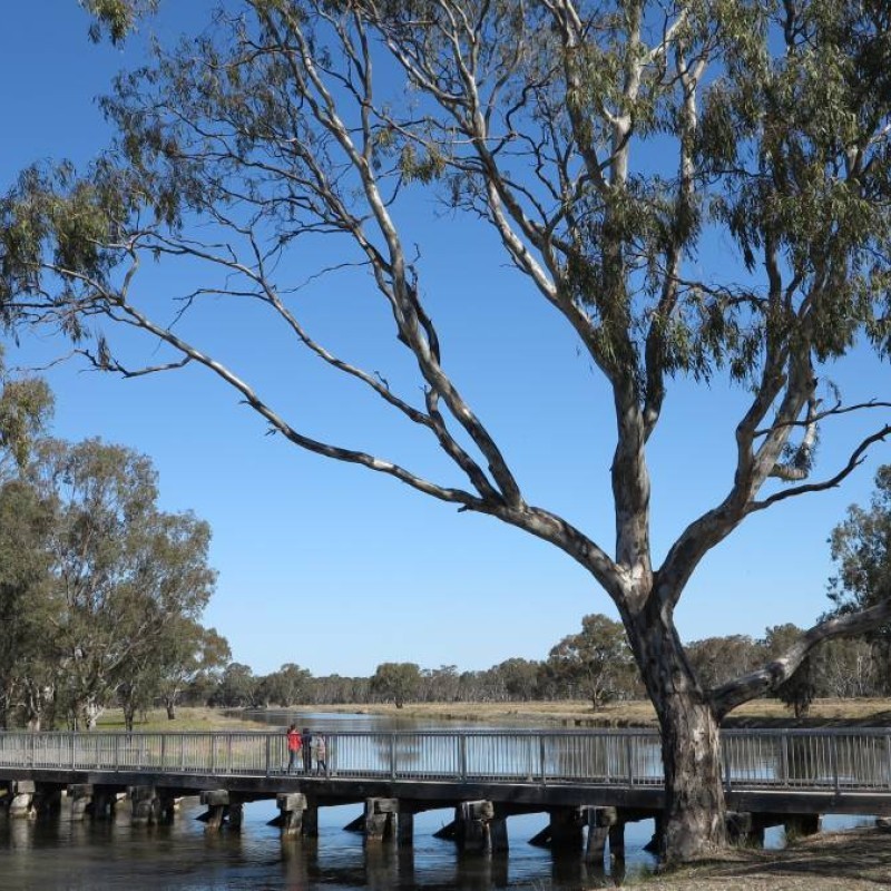 Murchison Rail Trail