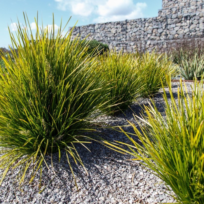 Australian Botanic Gardens Shepparton